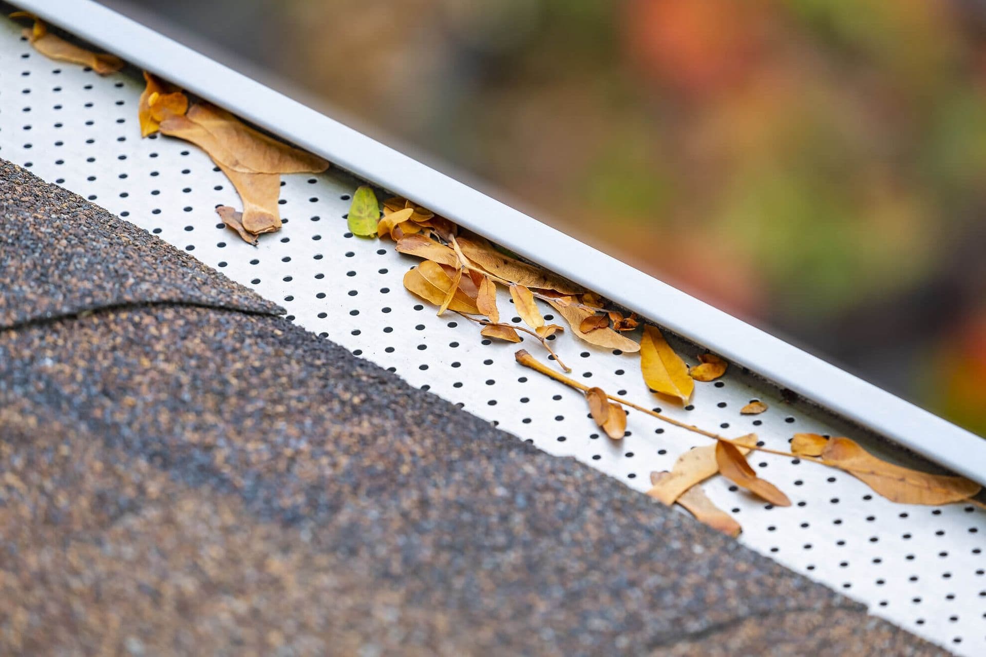 Gutter Protection